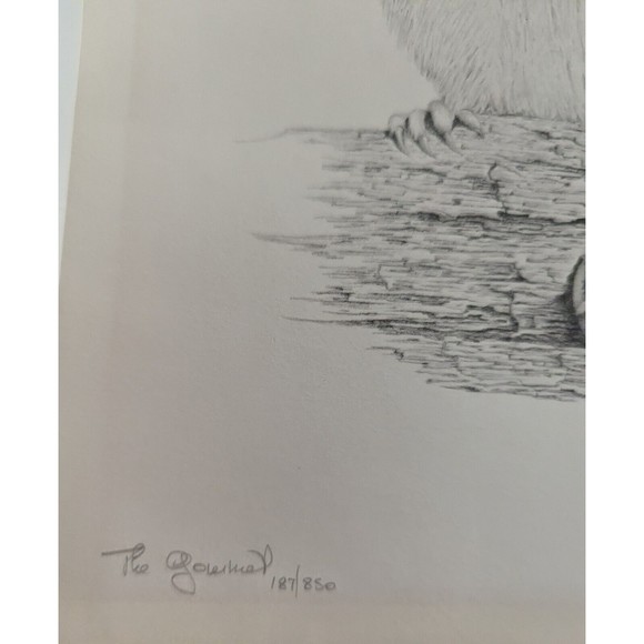 Chipmunk art print Signed 187/850 - Picture 3 of 4